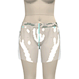 HP Fit Shorts - ClearView Pressure Map (Ladies)